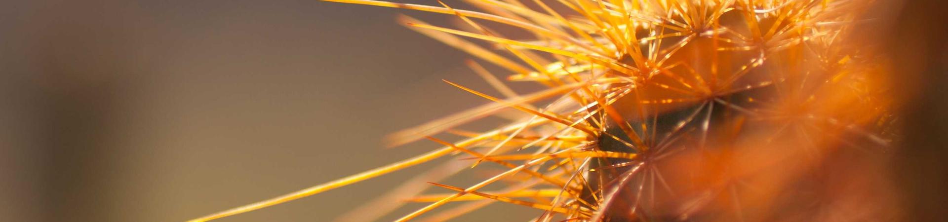 杭州知美人美学教育科技发展有限公司 &middot; 安庆分支机构